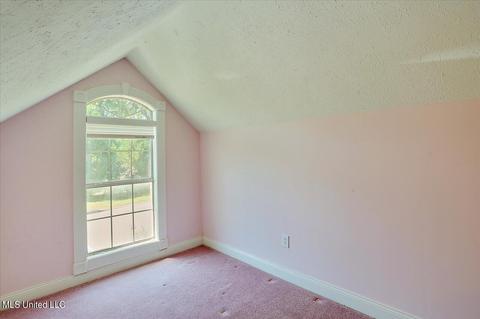 507 Spring Lake Dr, Pearl, MS 39208 photo 21