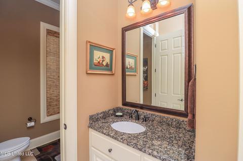 112 Belle Pointe, Madison, MS 39110 photo 26