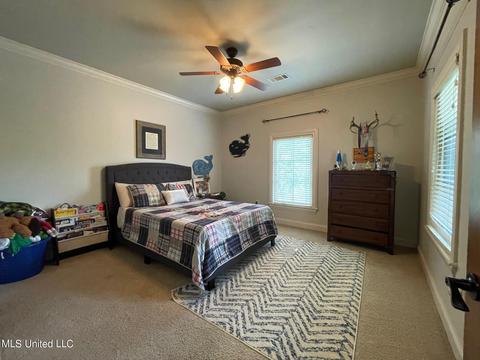 116 Charlestown Sq, Madison, MS 39110 photo 44