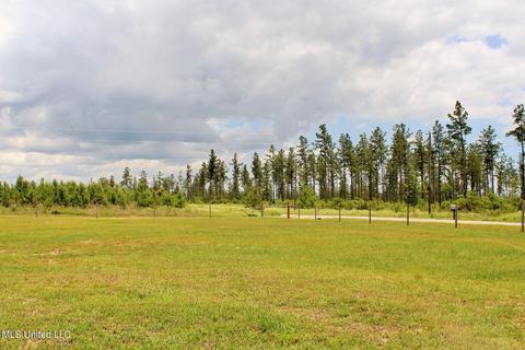 141 Pineview Dr, Lucedale, MS 39452 photo 18