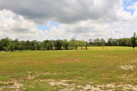 141 Pineview Dr, Lucedale, MS 39452 photo 19