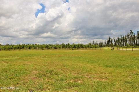 141 Pineview Dr, Lucedale, MS 39452 photo 17