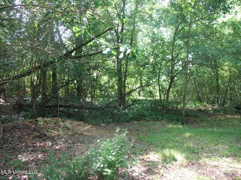 4075 Pine Hill Dr, Jackson, MS 39206 photo 15