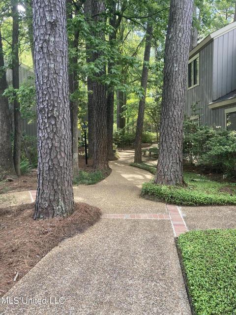 38 Eastbrooke St, Jackson, MS 39216 photo 3