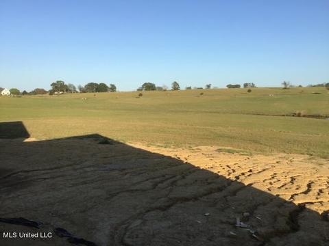 102 Lovorn Ct, Flora, MS 39071 photo 14