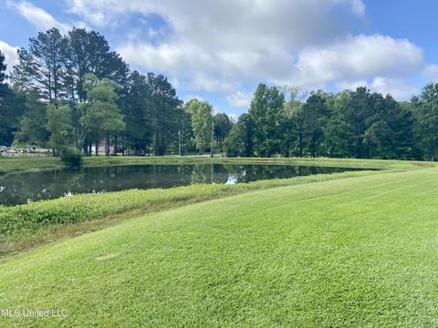 348 Williams Rd, Florence, MS 39073 photo 3