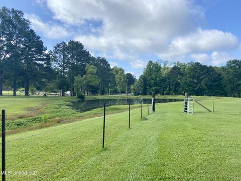 348 Williams Rd, Florence, MS 39073 photo 23