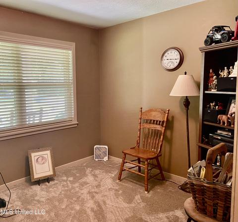 348 Williams Rd, Florence, MS 39073 photo 11