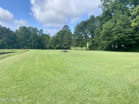 348 Williams Rd, Florence, MS 39073 photo 24