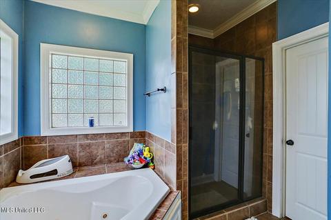 305 Turtle Holw, Brandon, MS 39047 photo 22
