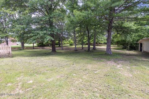 3520 N Windermere Dr, Nesbit, MS 38651 photo 3