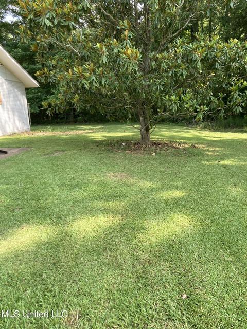 100 Lincoln St, Flora, MS 39071 photo 16