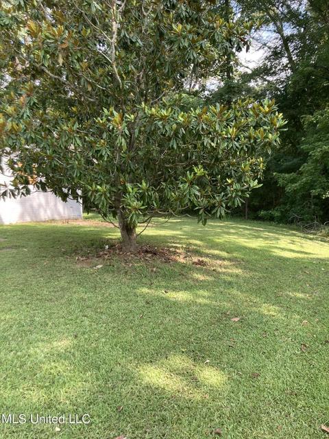 100 Lincoln St, Flora, MS 39071 photo 17