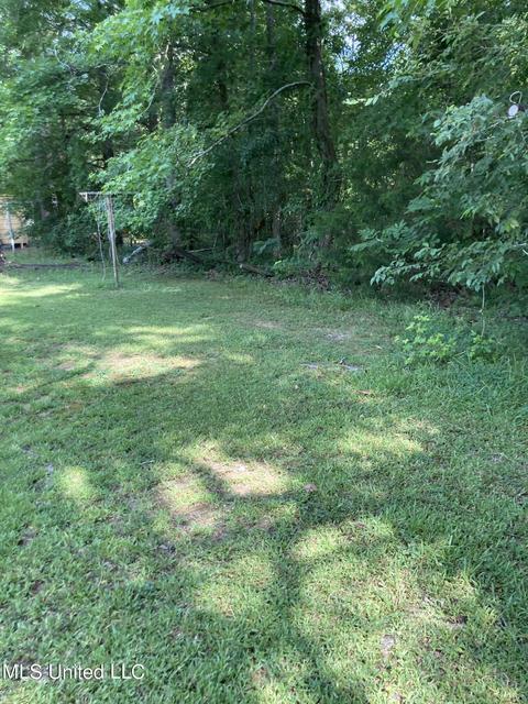 100 Lincoln St, Flora, MS 39071 photo 18