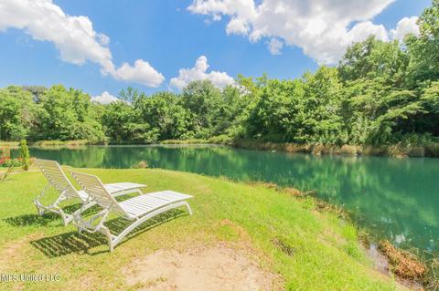 74 Trest Rd, Lena, MS 39094 photo 41