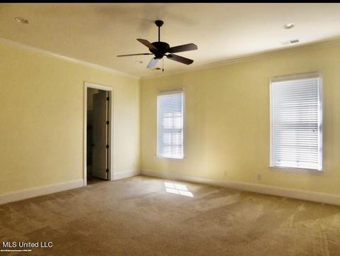 4220 N Robinson Loop, Olive Branch, MS 38654 photo 19