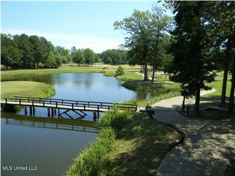 846 Willow Grande Cir, Brandon, MS 39047 photo 39