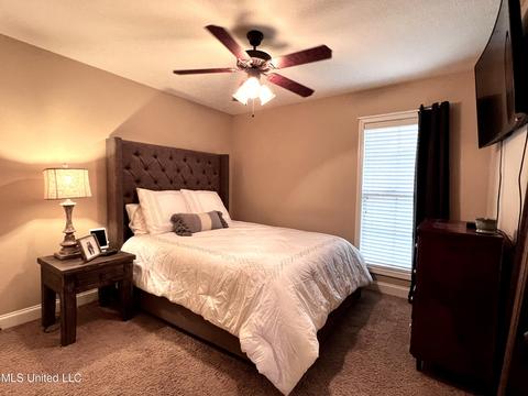 846 Willow Grande Cir, Brandon, MS 39047 photo 24