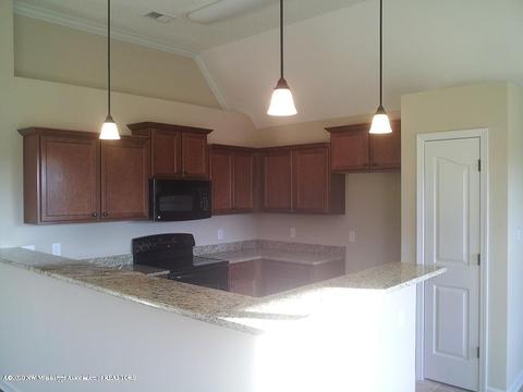 6512 Carmel Pointe Dr, Walls, MS 38680 photo 7