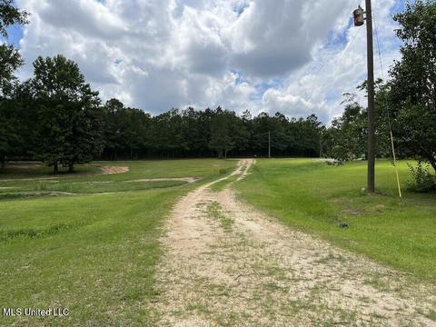 895 Lorraine St, Wiggins, MS 39577 photo 14