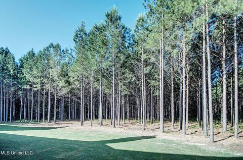 1020 Limerick Ln, Brandon, MS 39047 photo 38