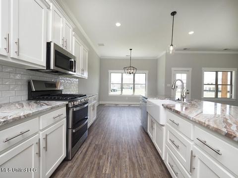 2940 Walking Dog Ln, Nesbit, MS 38651 photo 2