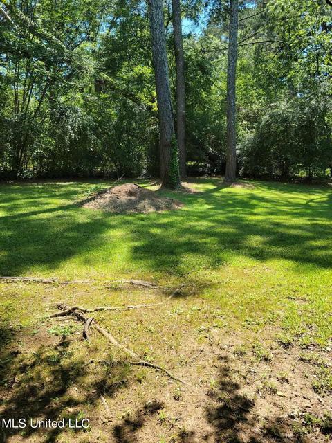 1747 Dorgan St, Jackson, MS 39204 photo 2