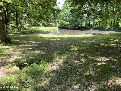 2725 Nesbit Rd, Nesbit, MS 38651 photo 25