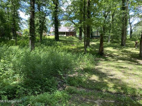 2725 Nesbit Rd, Nesbit, MS 38651 photo 24
