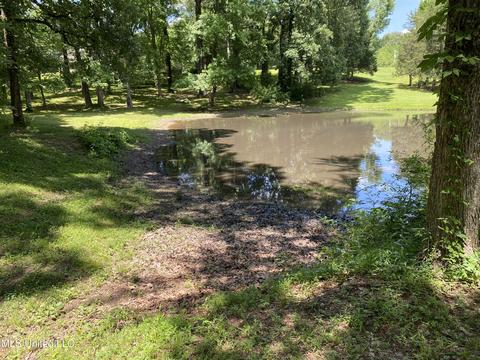 2725 Nesbit Rd, Nesbit, MS 38651 photo 30