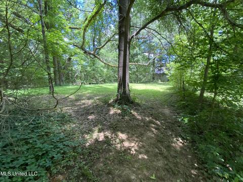 2725 Nesbit Rd, Nesbit, MS 38651 photo 28