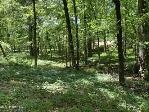 2725 Nesbit Rd, Nesbit, MS 38651 photo 23