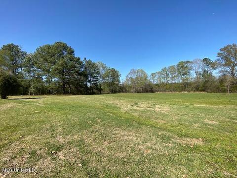 154 Beamon Rd, Camden, MS 39045 photo 17