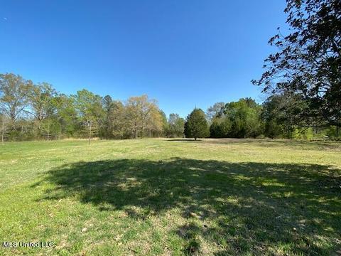 154 Beamon Rd, Camden, MS 39045 photo 18