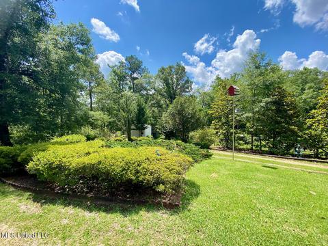 2286 Brushy Creek Rd, Lucedale, MS 39452 photo 34