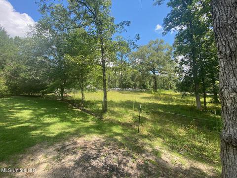 2286 Brushy Creek Rd, Lucedale, MS 39452 photo 22