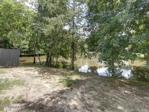 7321 Vaiden Rd, Hernando, MS 38632 photo 44