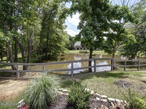 7321 Vaiden Rd, Hernando, MS 38632 photo 43