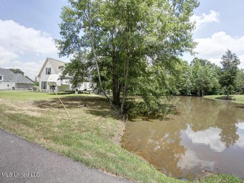7321 Vaiden Rd, Hernando, MS 38632 photo 46