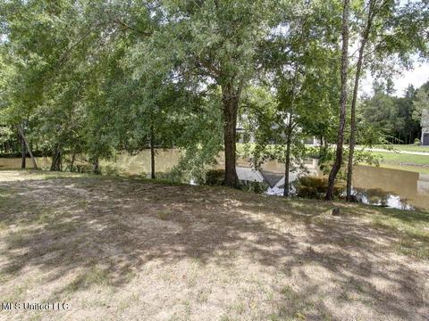 7321 Vaiden Rd, Hernando, MS 38632 photo 45
