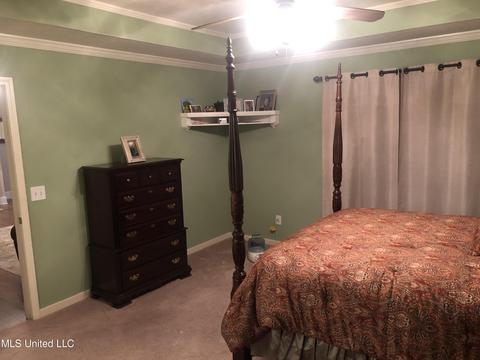 108 Old Gin Cv, Madison, MS 39110 photo 22