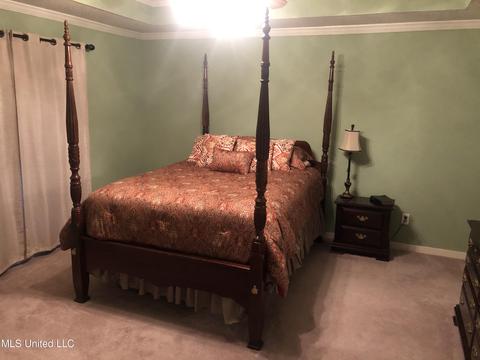 108 Old Gin Cv, Madison, MS 39110 photo 21