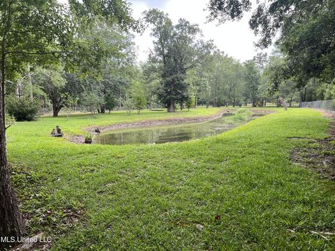 20010 Pete Hickman Rd, Saucier, MS 39574 photo 30