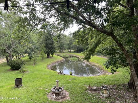 20010 Pete Hickman Rd, Saucier, MS 39574 photo 29