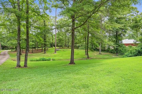 2491 Owens Rd, Terry, MS 39170 photo 4