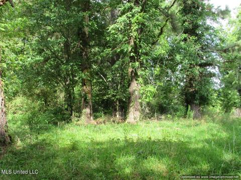 4751 Ms-432, Vaughan, MS 39179 photo 9