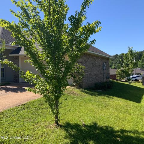 552 Eaglewood Dr, Florence, MS 39073 photo 3