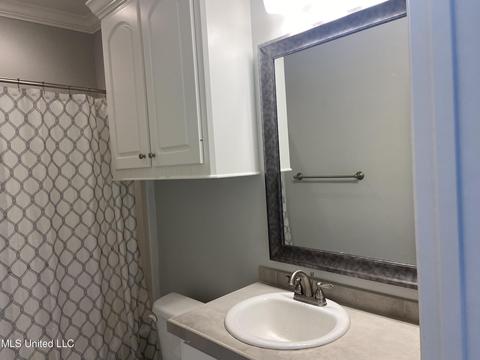 136 Essen Lane Ln, Madison, MS 39110 photo 36