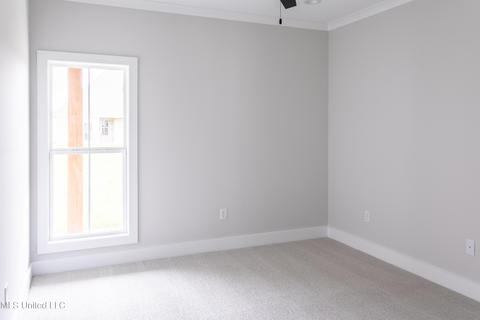 154 Bridge Water Loop, Madison, MS 39110 photo 41