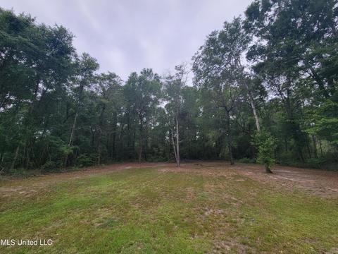 99 Diamond Radar, Perkinston, MS 39573 photo 32